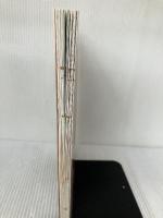 毎日つくる 園児のおべんとう: おかずのバリエーションがいっぱい 大泉書店 渡辺 あきこ