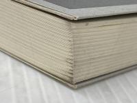 ちいさな理想 編集グループSURE 鶴見 俊輔