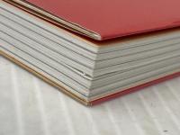 リーダーシップで面白いほど結果が出る本 (ビジネスベーシック「超解」シリーズ) あさ出版 川原 慎也