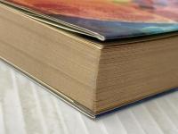 手のひら療法 手のひらで病気をなおす 鶴書房 日比野 喬