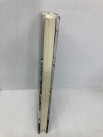 雨の言葉: ローゼ・アウスレンダー詩集 思潮社 ローゼ アウスレンダー