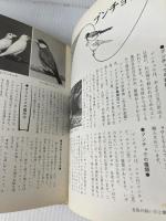 小鳥の飼育と繁殖 (文研リビングガイド) 文研出版 前澤 和明