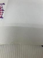 【※イタミ有り】驚異! 透明標本いきもの図鑑 (別冊宝島 1663 スタディー) 宝島社