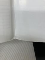 Immunity to Change (Leadership for the Common Good) Harvard Business School Pr Kegan, Robert