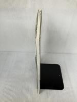 まいにちのマリネレシピ ~おかず、常備菜、ごちそうに~ マイナビ 堤 人美