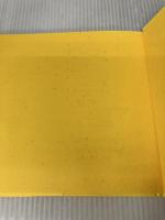 イエロ- (ザ・ブック・オブ・カラーズ) ディーエイチシー 南風 椎