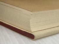 ホワイトヘッド著作集 第11巻 過程と実在 (下) 松籟社 A.N.ホワイトヘッド