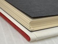 杉浦日向子のぶらり江戸学 マドラ出版 杉浦 日向子