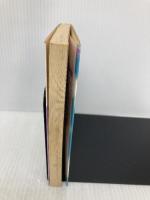 雲海のエルドラド “El Dorado covered with clouds" 星方武侠アウトロースター (スーパーダッシュ文庫) 集英社 堺 三保