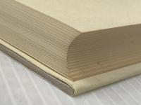 ※イタミ有 アルゴノオト―あおいの日記 (1979年)