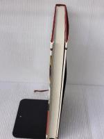 プロのためのわかりやすい中国料理 柴田書店 松本 秀夫