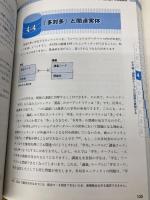 【※カバー無し】達人に学ぶDB設計 徹底指南書 初級者で終わりたくないあなたへ 翔泳社 ミック