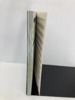 ラングリッサー2必勝攻略法 (メガドライブ完璧攻略シリーズ 8) 双葉社 ファイティングスタジオ