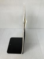 やさしい篠笛入門 トヤマ 渡邊 亜紀人