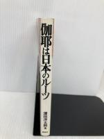 伽耶は日本のルーツ 新泉社 澤田 洋太郎