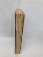 Astro Boy 13 Carlsen Verlag GmbH Tezuka, Osamu