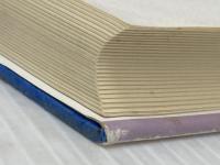 泉あるところ ホーリネスの群 小原十三司　小原鈴子共著