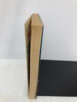 その後の戦国魔神ゴーショーグン (アニメージュ文庫 N- 3) 徳間書店 首藤 剛志