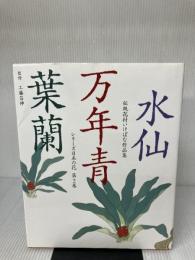 シリーズ日本の花 第2巻: 伝統花材いけばな作品集 主婦の友社 主婦の友社