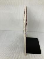 新聞紙で遊ぼう!「雨の日だってへっちゃら!」 かもがわ出版 熊丸 みつ子