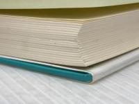 プレイバック・ダダ―トリスタン・ツァラの冒険と、その後 白順社(ゆうプロジェクト) 塚原史