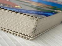 初めてのホームステイ: プランニングから基本英会話まで 成美堂出版