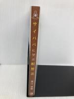 サイババに学ぶ瞑想法: 「無になる」とはどういうことか アルマット 堀江 琢磨