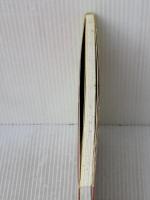 Cake Pia presents トースターでつくる世界で愛されているケーキレシピ100 シンコーミュージック・エンタテイメント 仁科文之