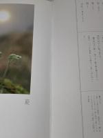 源氏の花を訪ねて: 入江泰吉写真集 (求龍堂グラフィックス) 求龍堂 尾崎 左永子
