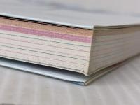 VIP - Vocaloid Important Producer- ボーカロイド楽曲制作テクニック ビー・エヌ・エヌ新社 八王子P