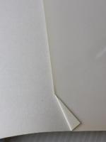 VIP - Vocaloid Important Producer- ボーカロイド楽曲制作テクニック ビー・エヌ・エヌ新社 八王子P