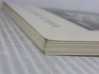 木綿のインテリア (松浦香苗のカラーワーク) 文化出版局 松浦 香苗