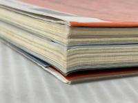 真説戦国北条五代: 早雲と一族、百年の興亡 (歴史群像シリーズ 14) 学研プラス