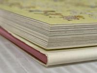 マザーグース パルコ アイオーナ オーピー