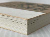 嗅覚測定法マニュアル 臭気対策研究協会 環境省環境管理局