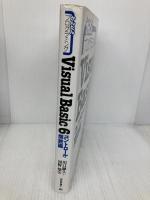 かんたんプログラミングVisual Basic 6 (コントロール・関数編) 技術評論社 川口 輝久