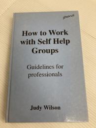 How to Work with Self Help Groups: Guidelines for Professionals Ashgate Publishing Limited Wilson, Judy