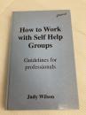 How to Work with Self Help Groups: Guidelines for Professionals Ashgate Publishing Limited Wilson, Judy