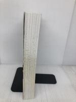 ヤマハルーターでつくるインターネットVPN [第5版] マイナビ出版 井上 孝司