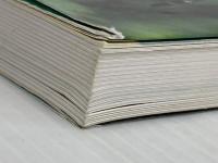 ※イタミ有 水辺の昆虫 (ヤマケイポケットガイド) (ヤマケイポケットガイド 18) 山と溪谷社 今森 光彦