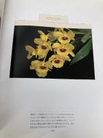 100の蘭 文化出版局 福原 義春