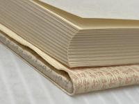 現代歴史叙述の神話: ドイツとイギリス 晃洋書房 デーヴィド ブラックボーン