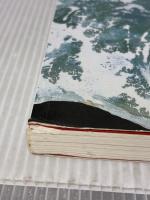 田中一村展　奄美を描いた画家　奄美群島日本復帰50周年記念　[図録]