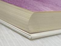 アリスの国の言葉たち: 高橋康也対談集 新書館 高橋康也