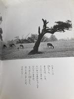 シカの白ちゃん 筑摩書房 岡部 伊都子
