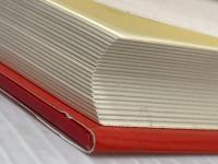 光線療法学 （改訂増補版） 健康と光線社 原著者 宇都宮義真　改訂者 宇都宮光明