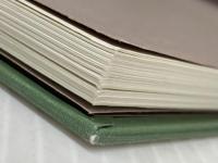 さかさまさかさ 亜紀書房 ピーター・ニューエル