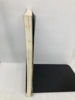 都立城東高校甲子園出場物語―夢の実現 (Ariadne entertainment) アリアドネ企画 手束仁