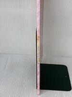 NEW GAME! アニメイラスト集