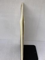 悩める合唱指揮者のための手引き 粟飯原栄子 ／ パナムジカ